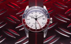 帝舵橡胶表带多少钱