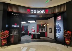 帝舵入门价目表